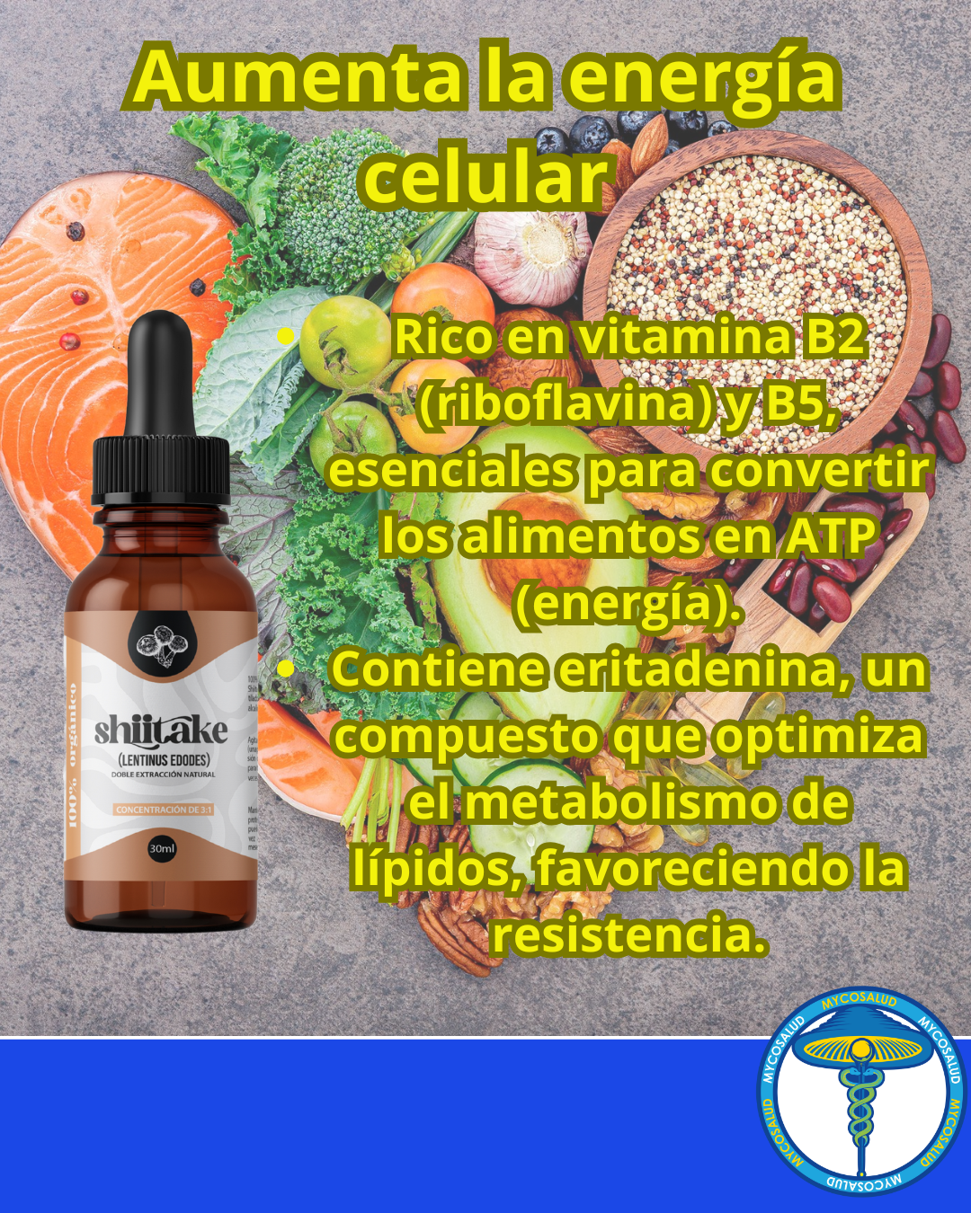 Tripack Deporte y Recuperación