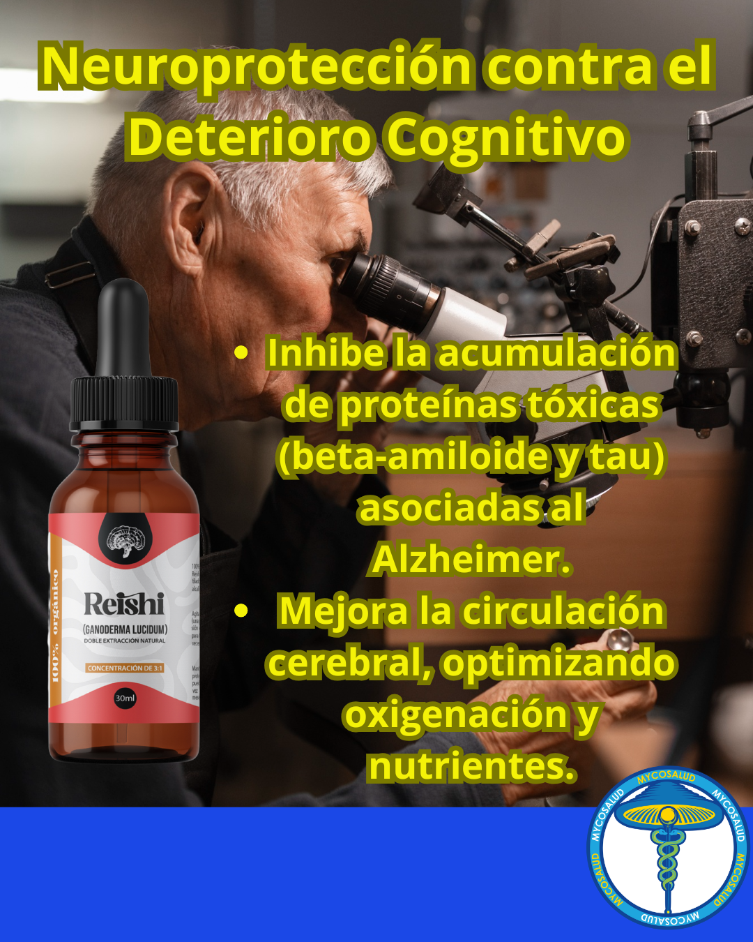 Tripack Cerebro Brillante