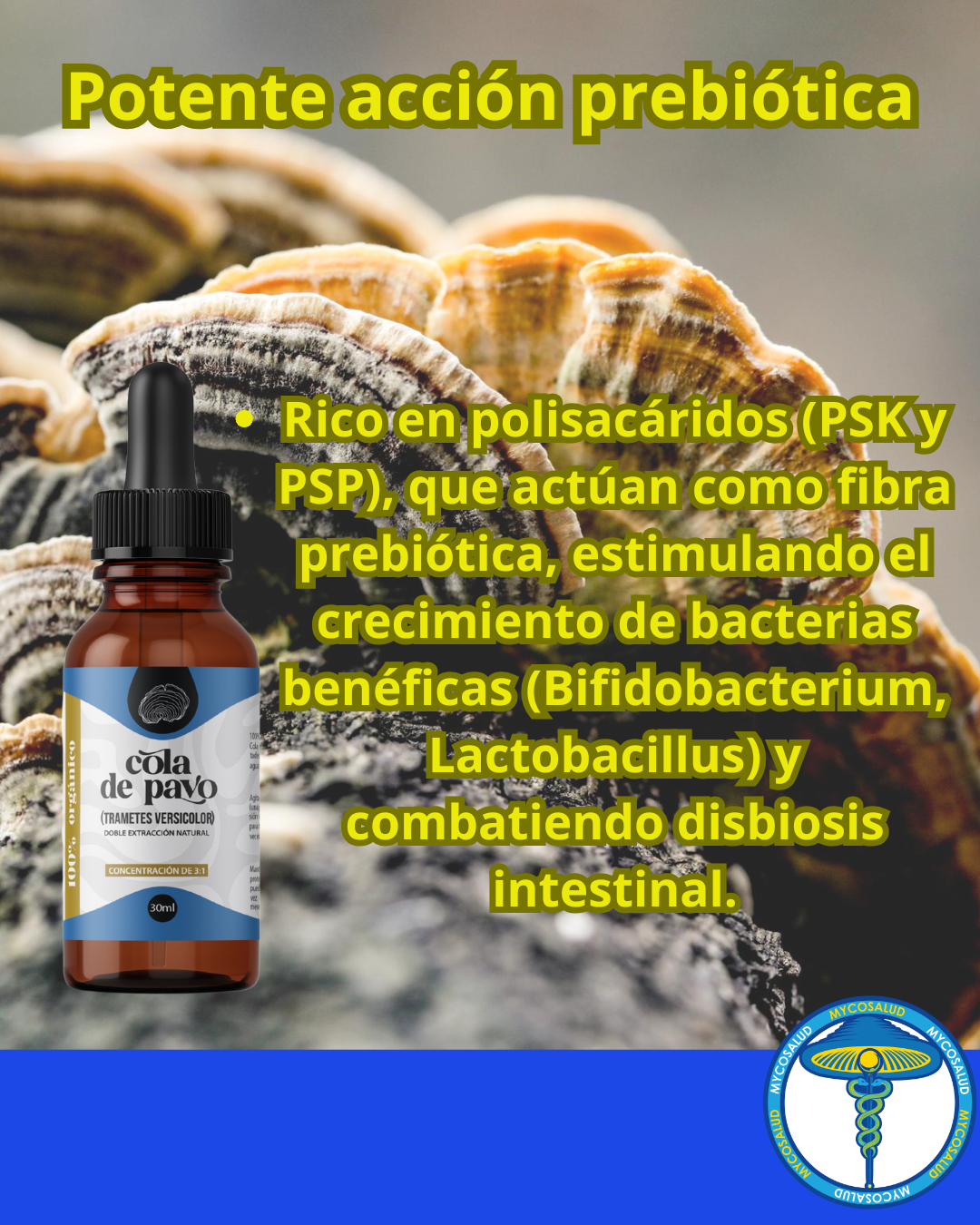 Tripack Digestivo