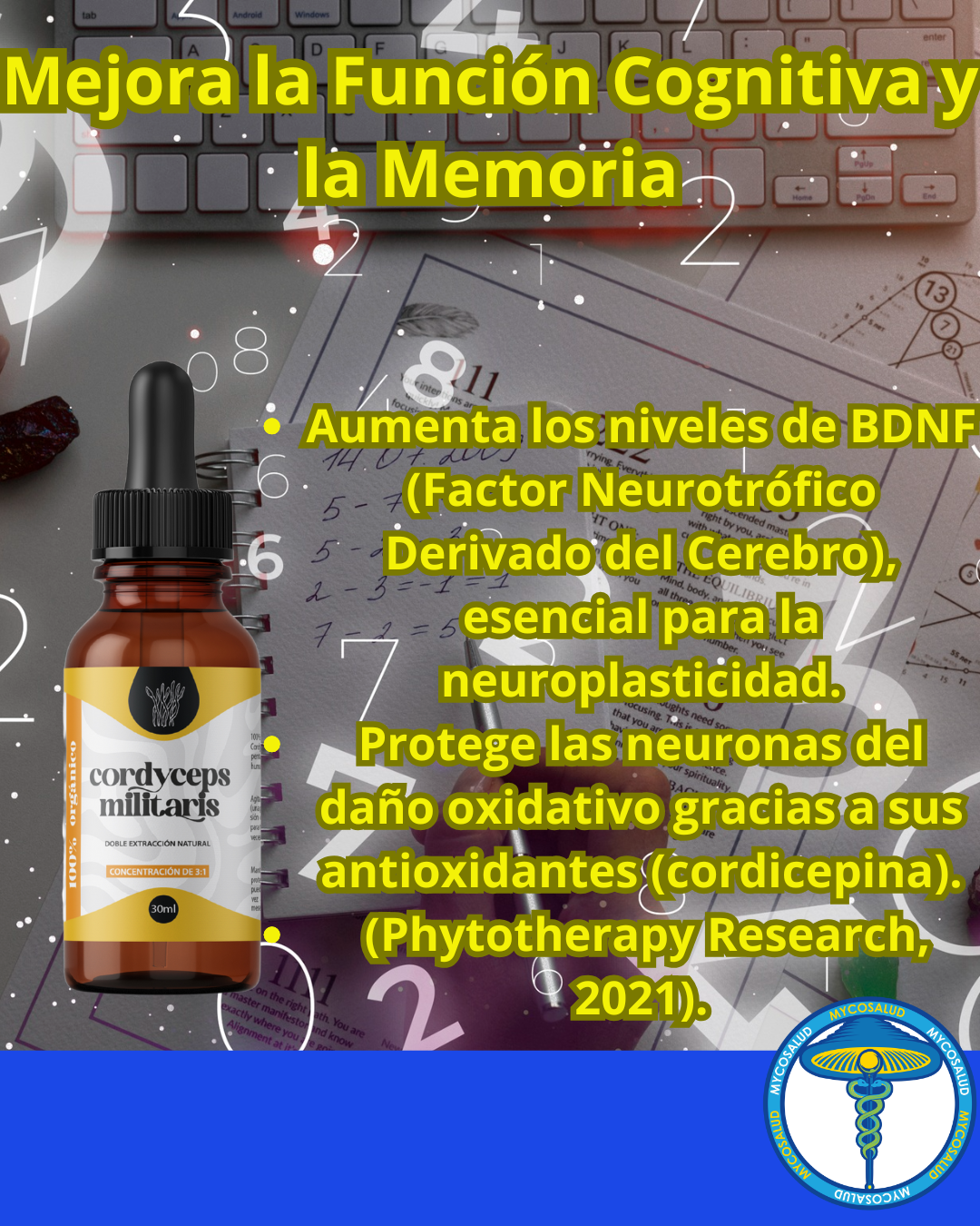 Tripack Cerebro Brillante