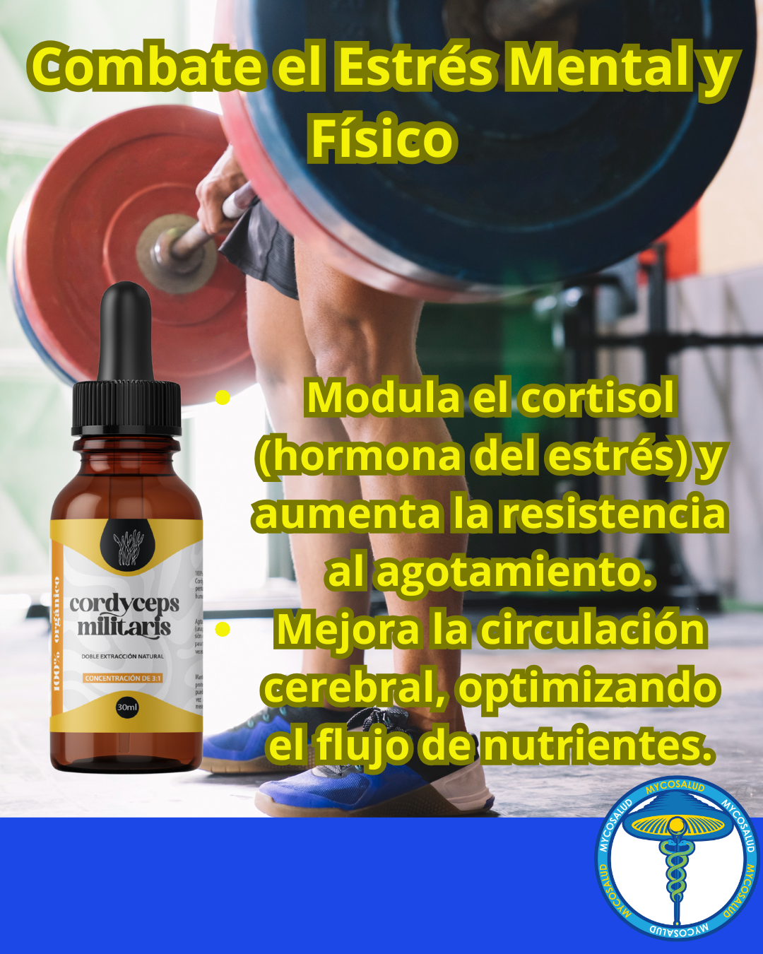 Tripack Cerebro Brillante