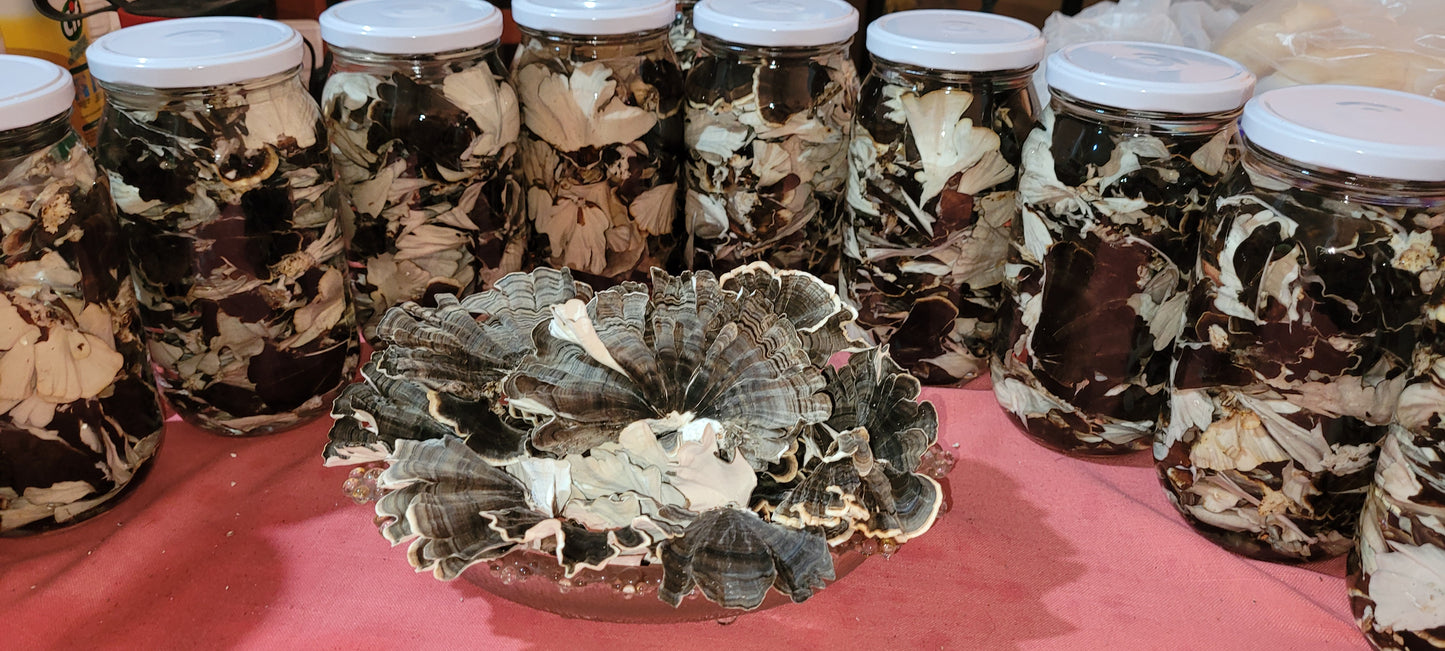 Cola de Pavo