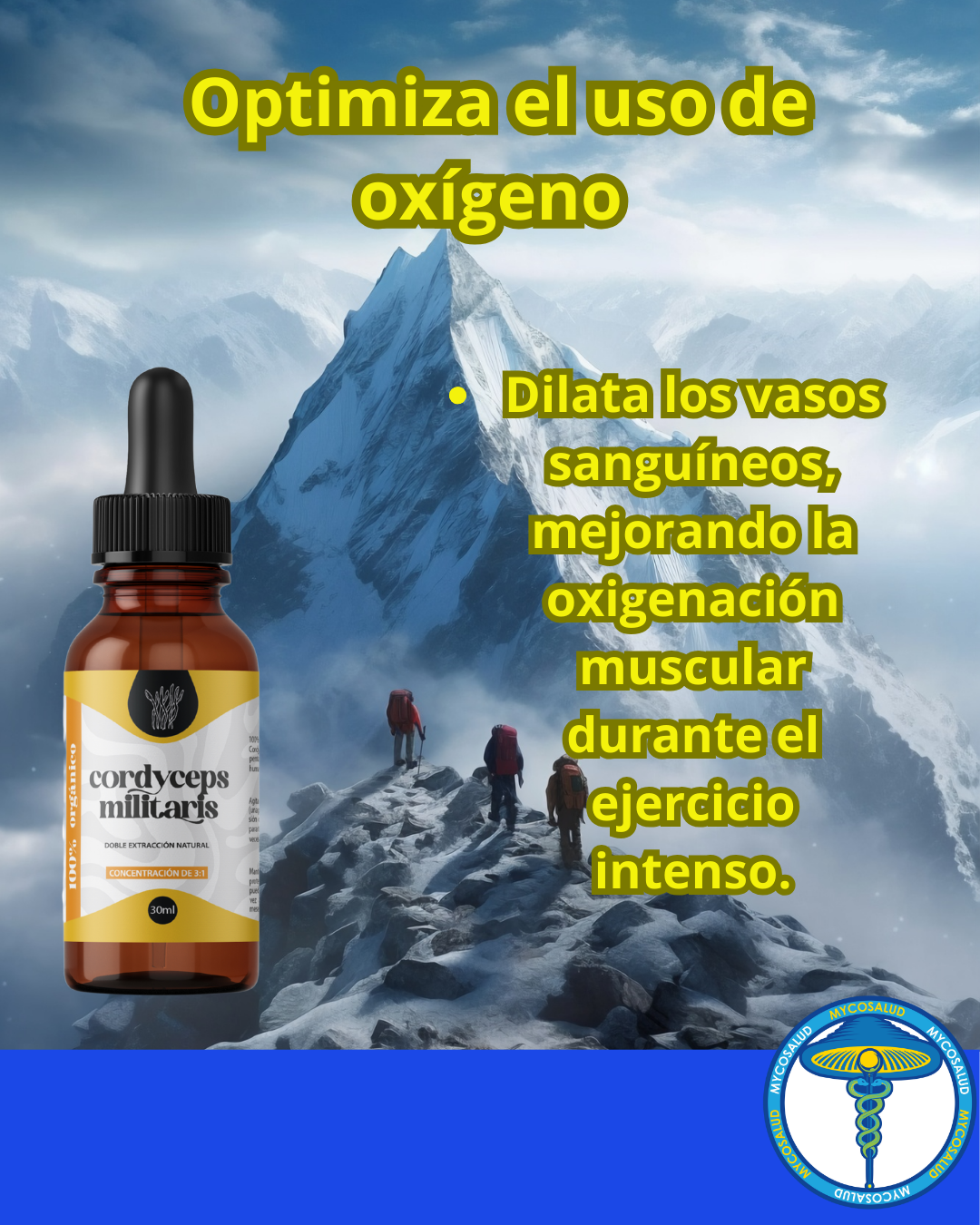 Tripack Deporte y Recuperación