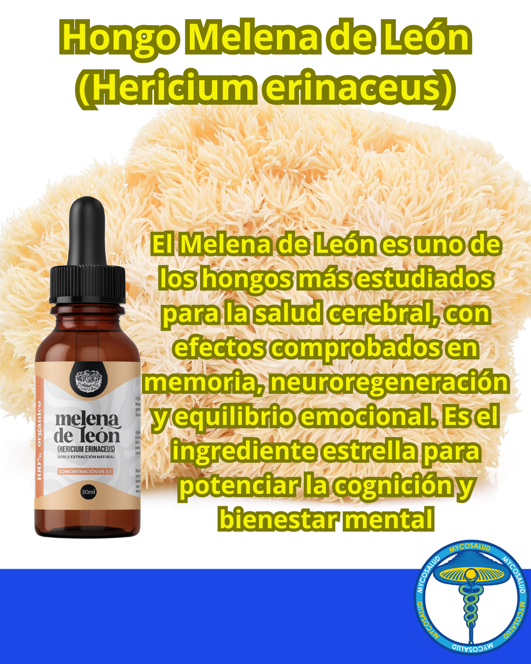 Tripack Cerebro Brillante