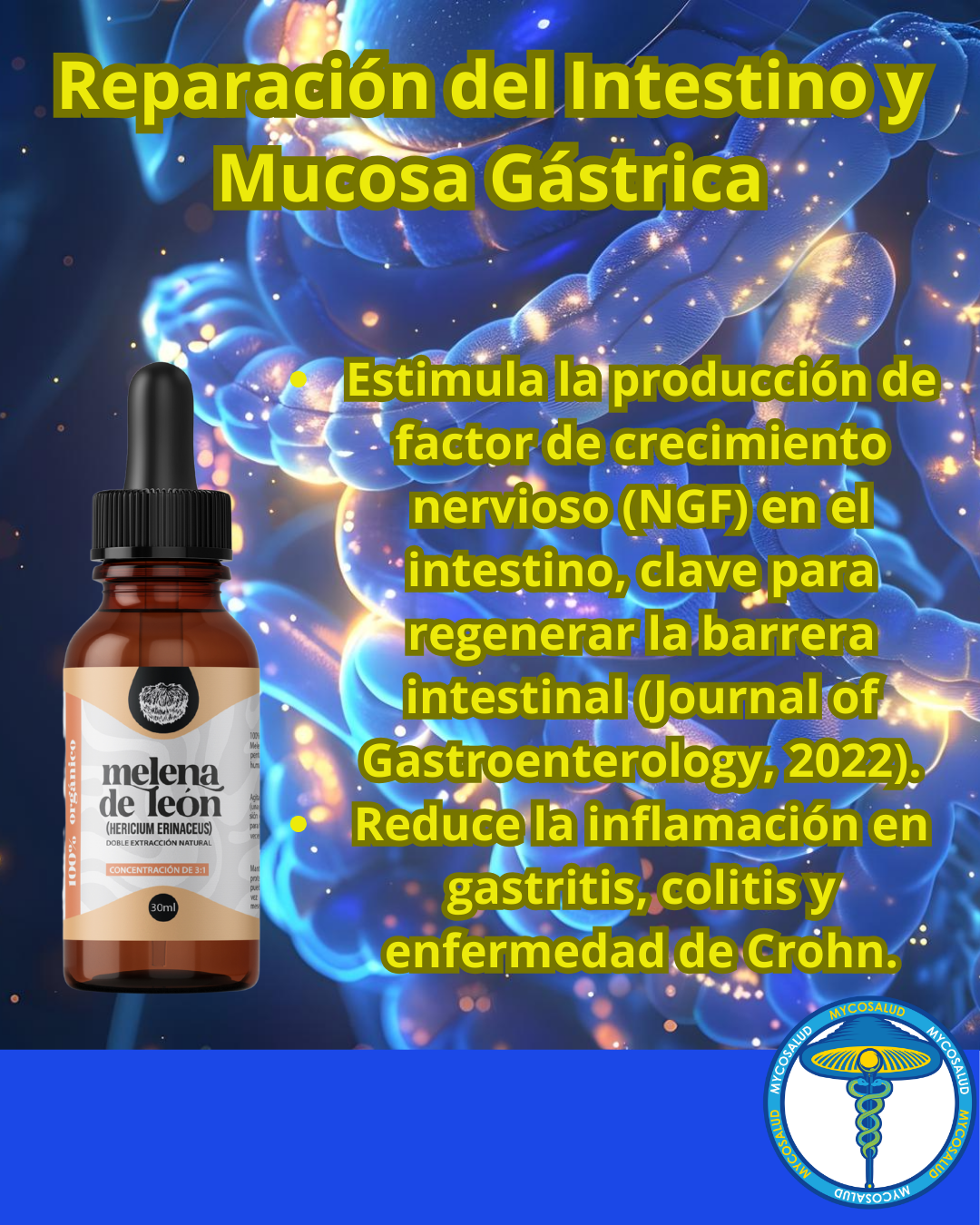 Tripack Digestivo