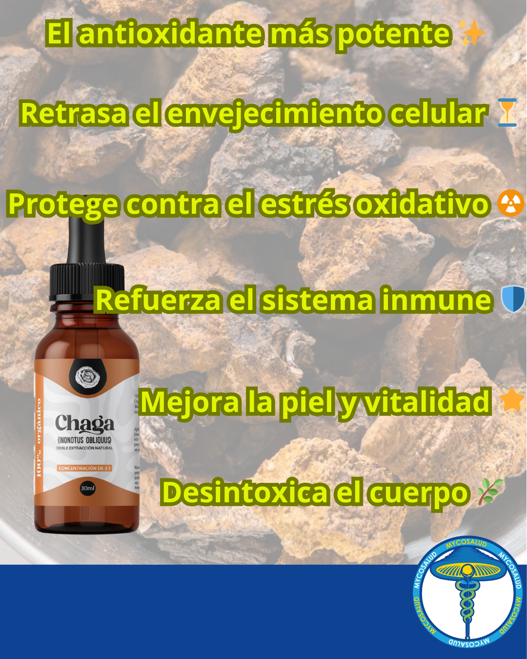 Chaga