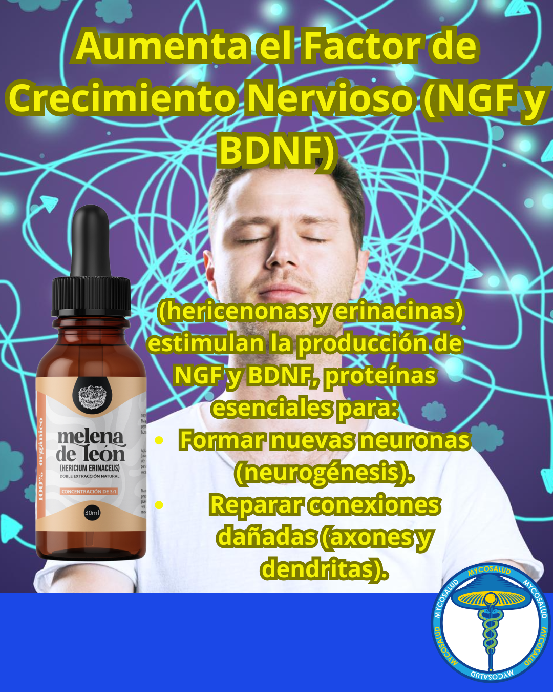 Tripack Cerebro Brillante