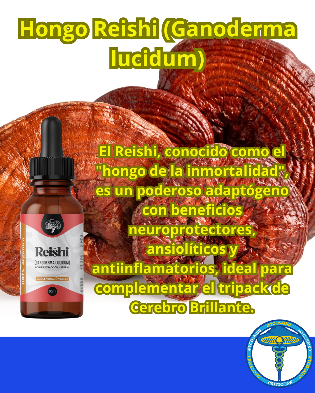 Tripack Cerebro Brillante