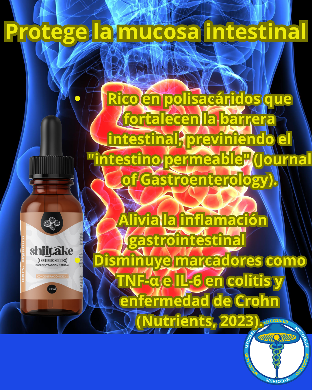 Tripack Digestivo