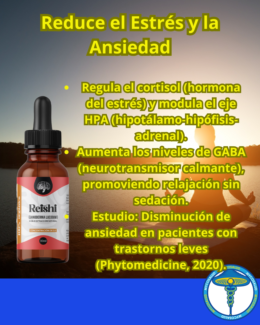 Tripack Cerebro Brillante