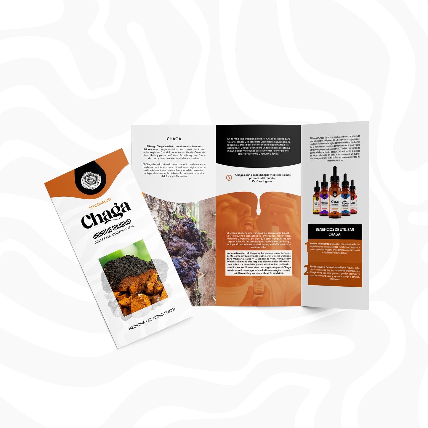 Chaga