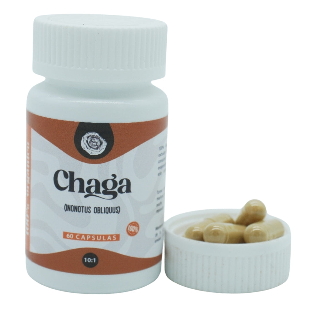Chaga Capsulas