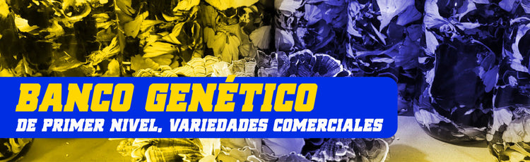 Banco Genético