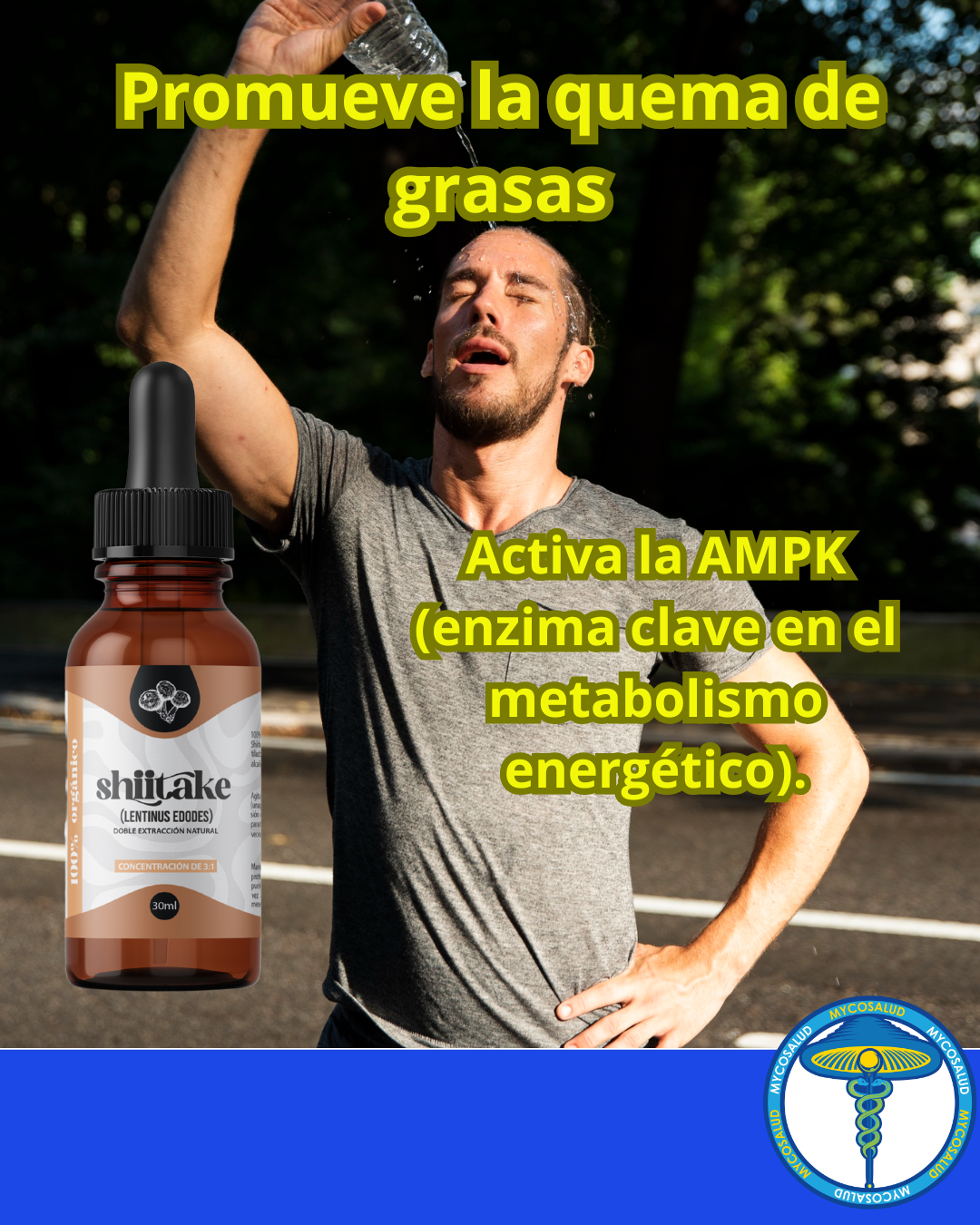 Tripack Regulador Metabólico
