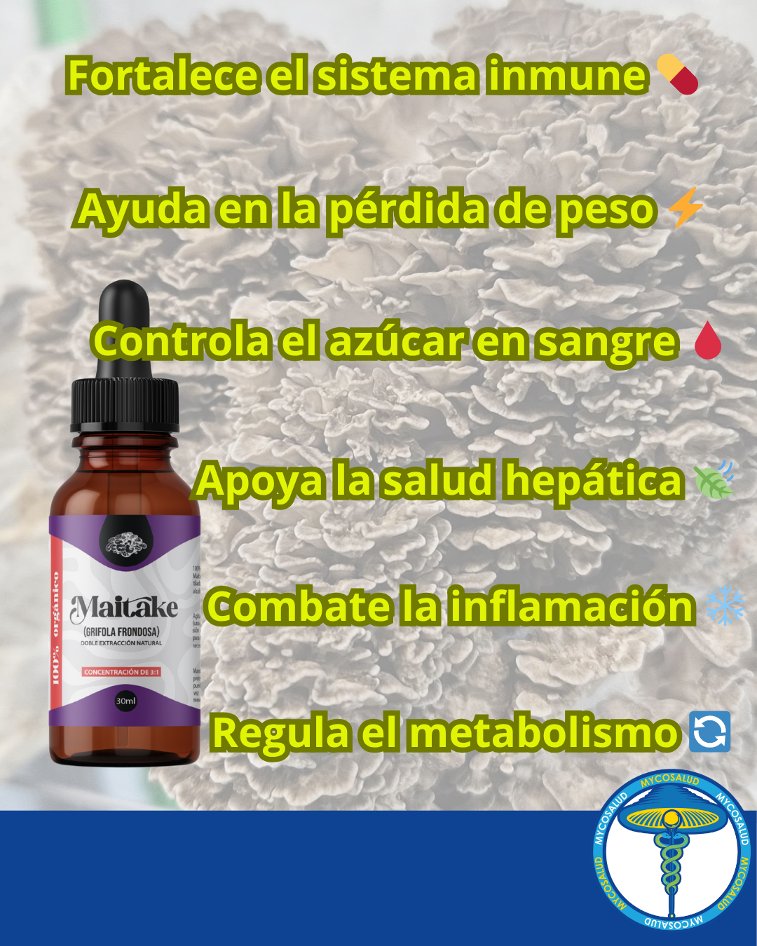 Maitake