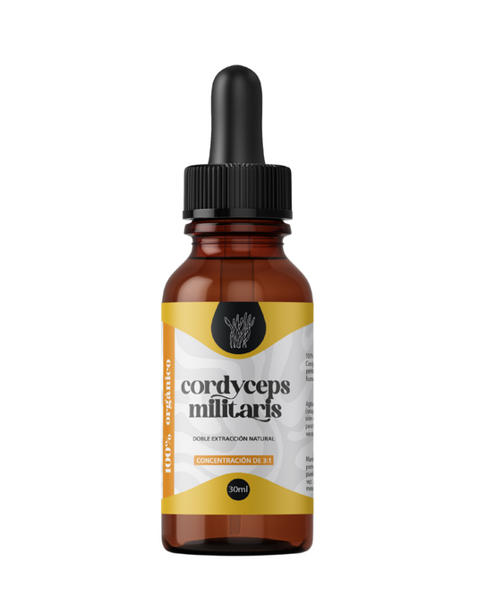 Cordyceps Militaris