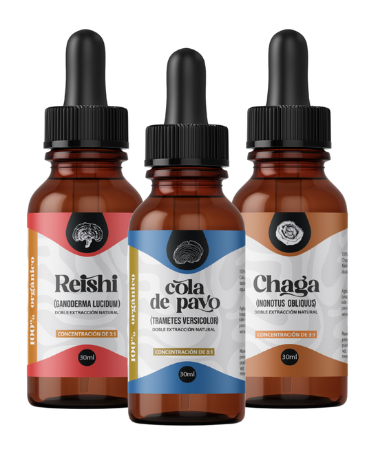 Tripack Detox Hepático