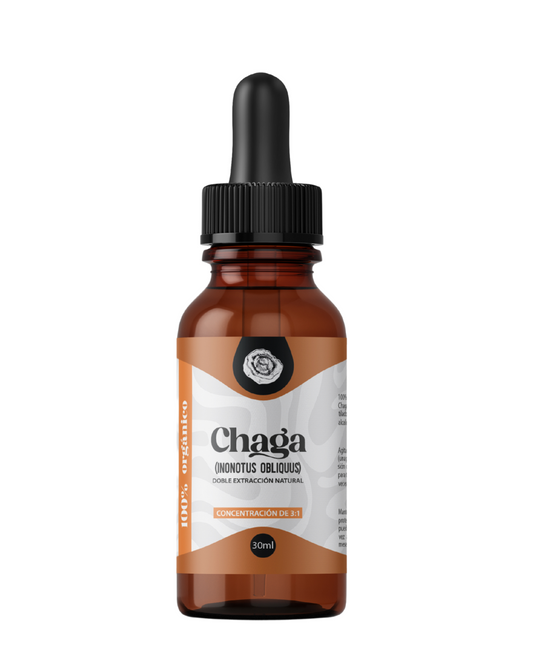 Chaga