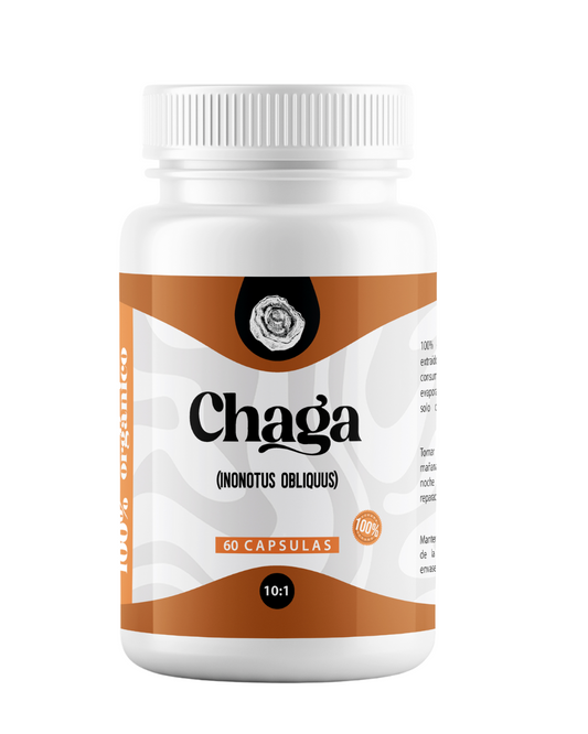 Chaga Capsulas