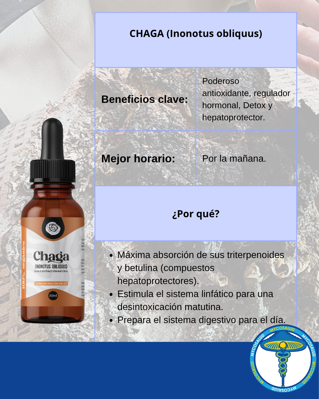 Chaga