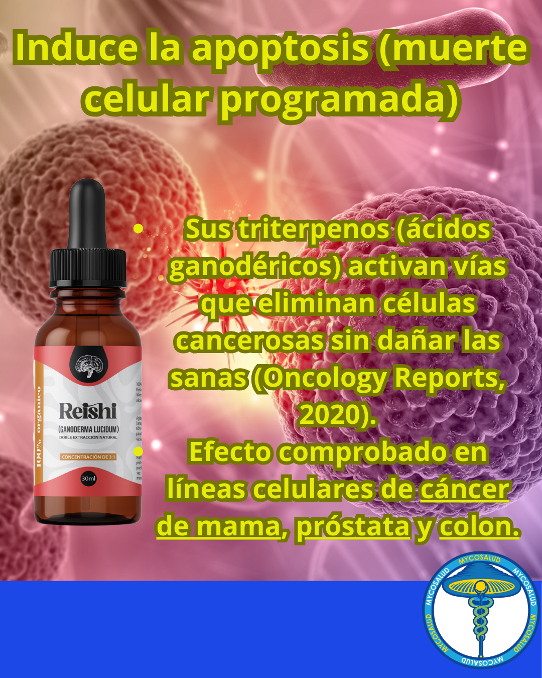Tripack de Apoyo Oncológico