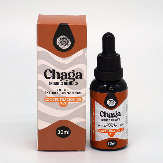 Chaga
